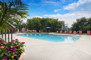A swimming pool with red lounge chairs and trees in the background